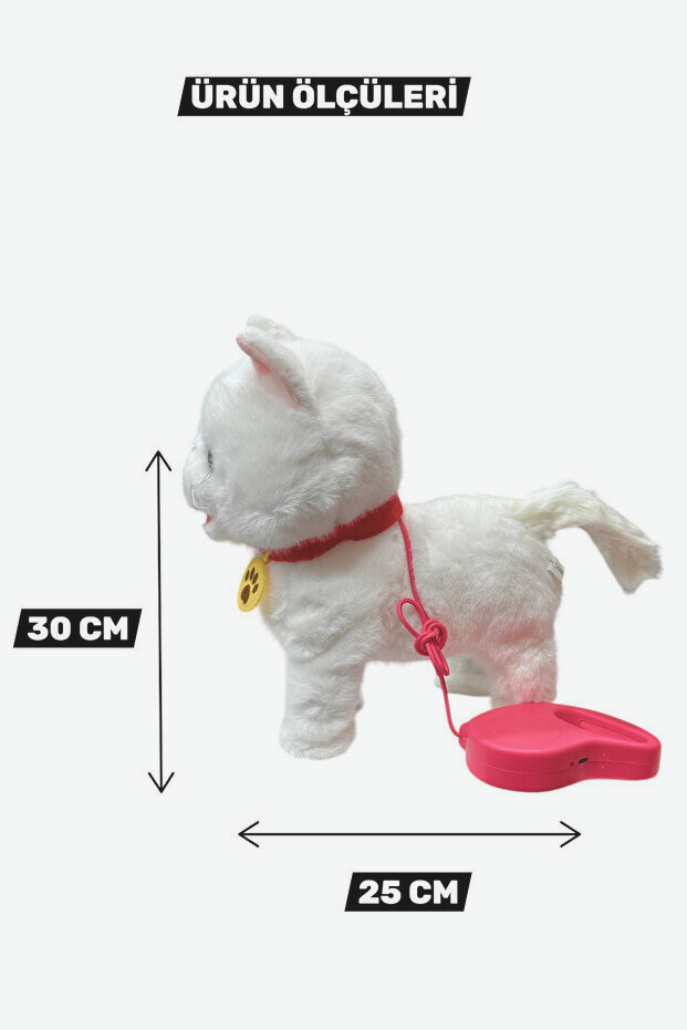 11.png__PID:80c98899-bd3e-45a2-9ac9-c08d69fd86ae