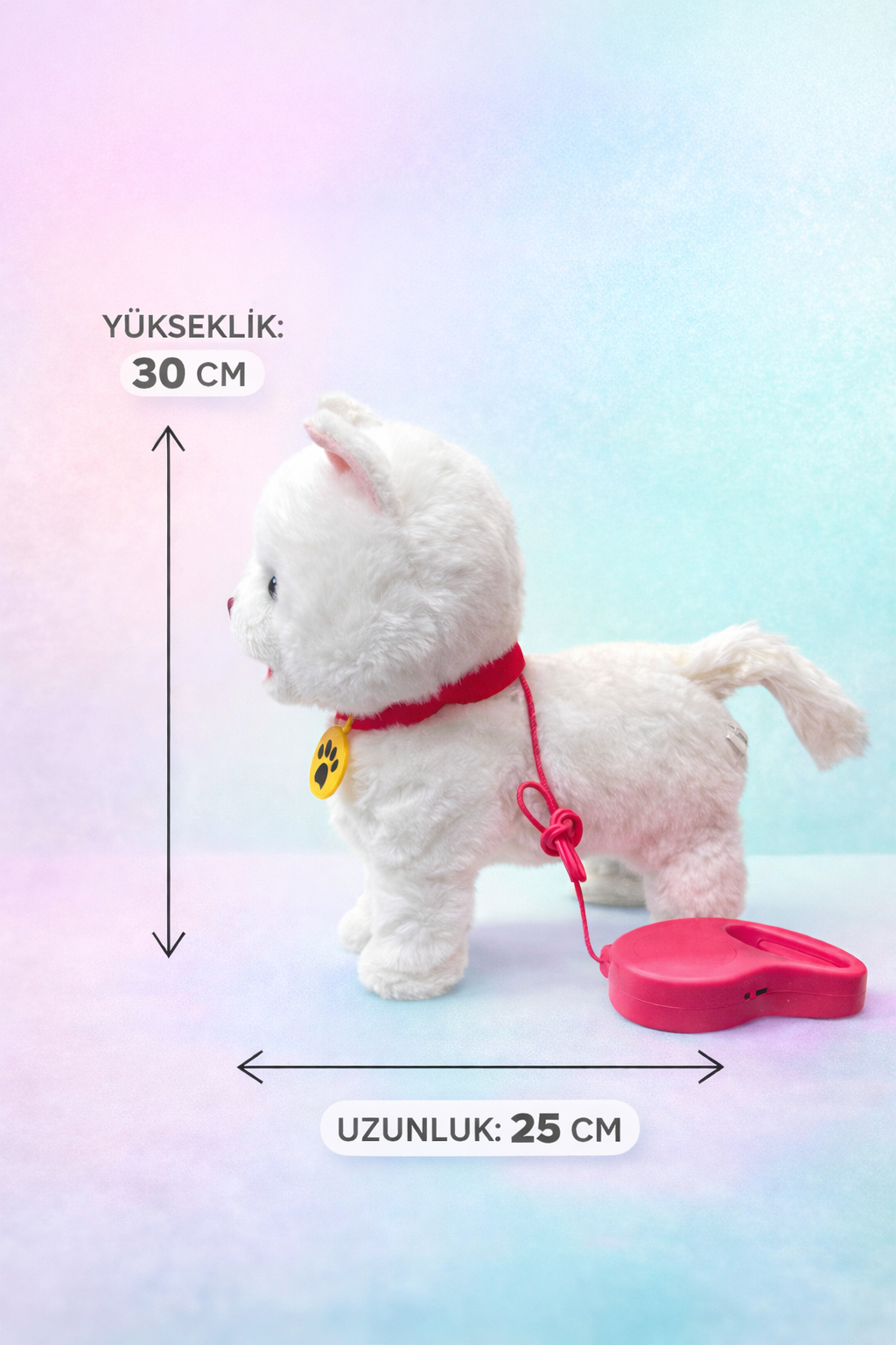 6.png__PID:af322c0e-80c9-4899-bd3e-25a21ac9c08d