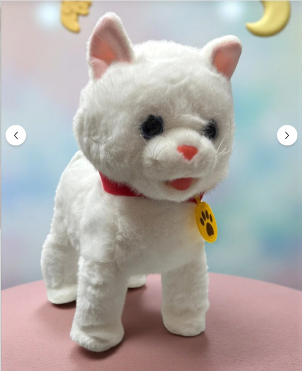 kedi 1.png__PID:93451cd2-2949-401a-bb66-73f6051379c5